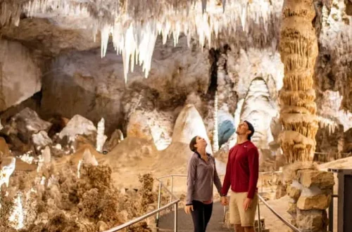 Best Time to Visit Carlsbad Caverns