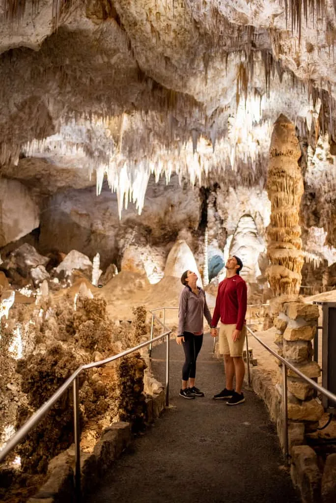 Best Time to Visit Carlsbad Caverns